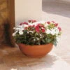 Euro 3 Plast Pflanzschale Olimpo Terra -Kölle 3210100223 Pflanzschale Olimpo terra 60cm Erdvol 38Ltr 34297