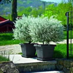 Euro 3 Plast Pflanzkübel Krea Quadro Anthrazit