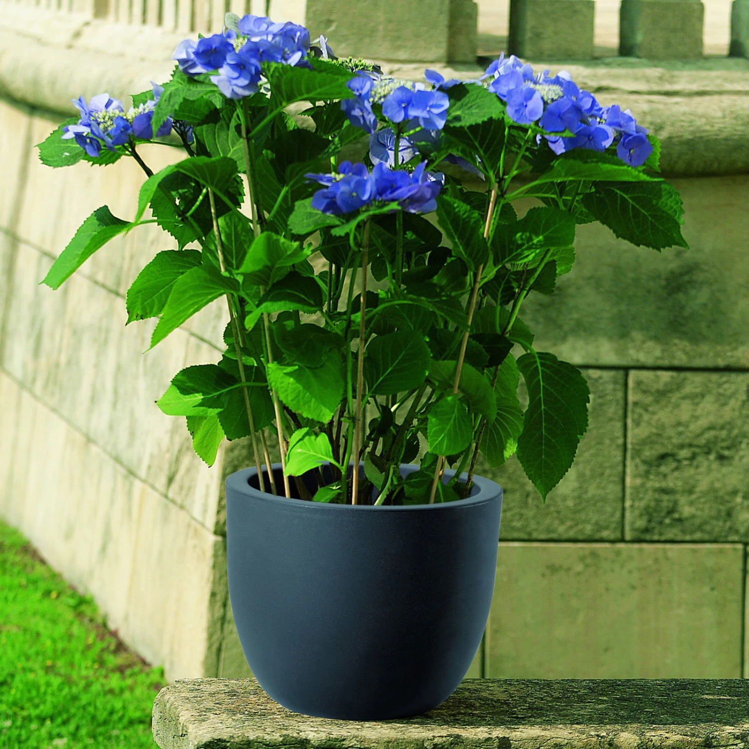 Pflanzkübel Etria perlschwarz, Ø 24 x H 20 cm Pflanzkübel Etria Perlschwarz, Ø 24 X H 20 Cm -Kölle 3210102281 Pflanzkuebel Etria perlschwarz 24cm Erdvol 5Ltr 34358