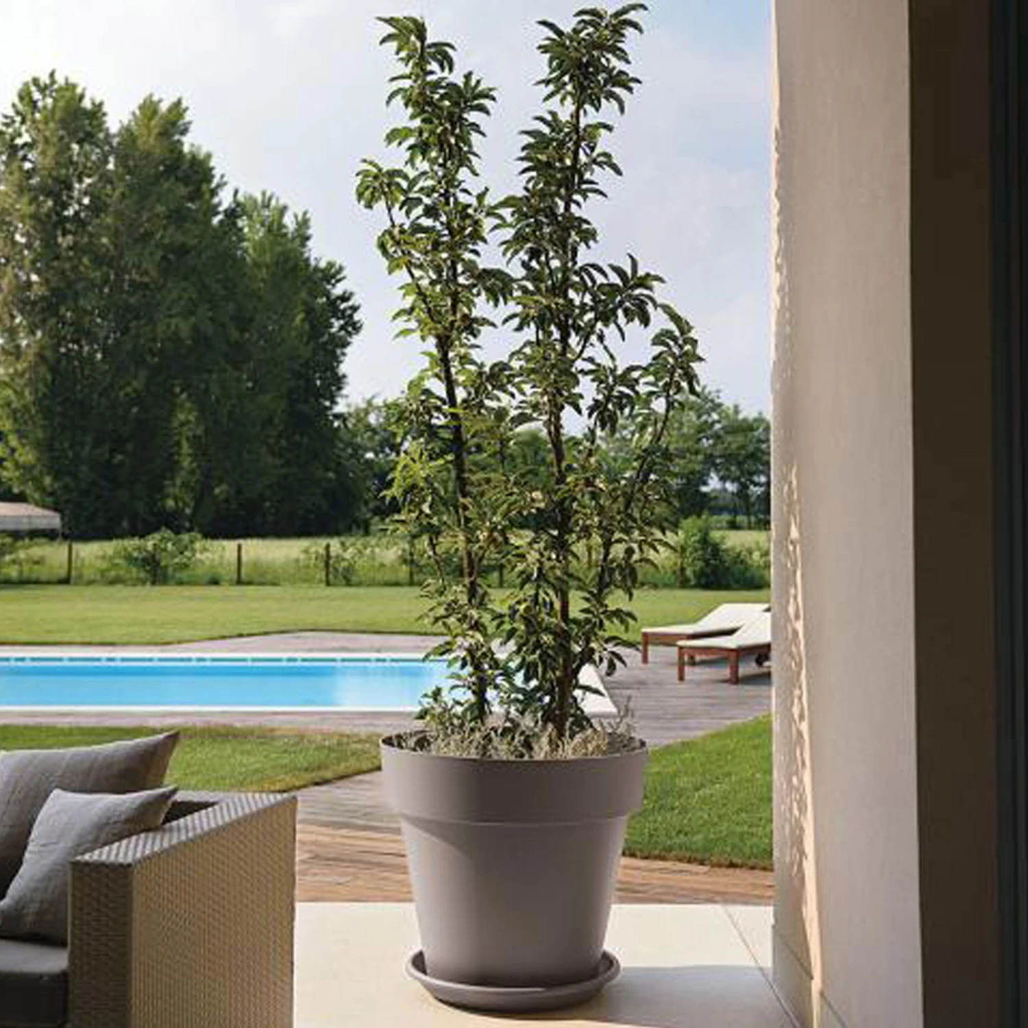 Euro 3 Plast Pflanzkübel Mitu Pac Mit Loch, Taupe -Kölle 3210103183 Pflanzkuebel Mitu Pac inkl Loch taupe 80cm Erdvol l228Ltr 34213