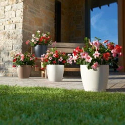 LECHUZA Pflanzgefäß 'Classico Color 70', Grau, Ø 70 X H 64,5 Cm -Kölle 3210103919 Pflanzgefaess Classico Color 60 All in 1 schiefergrau 3 109198 1