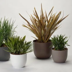 Pflanzkübel 'Rio', Rost, Ø 29 X H 24 Cm 5 Pflanzkübel 'Rio', Rost, Ø 29 X H 24 Cm -Kölle 3210104130 3210104131 3210104132 3210104133 pflanzkuebel rio 122622 5