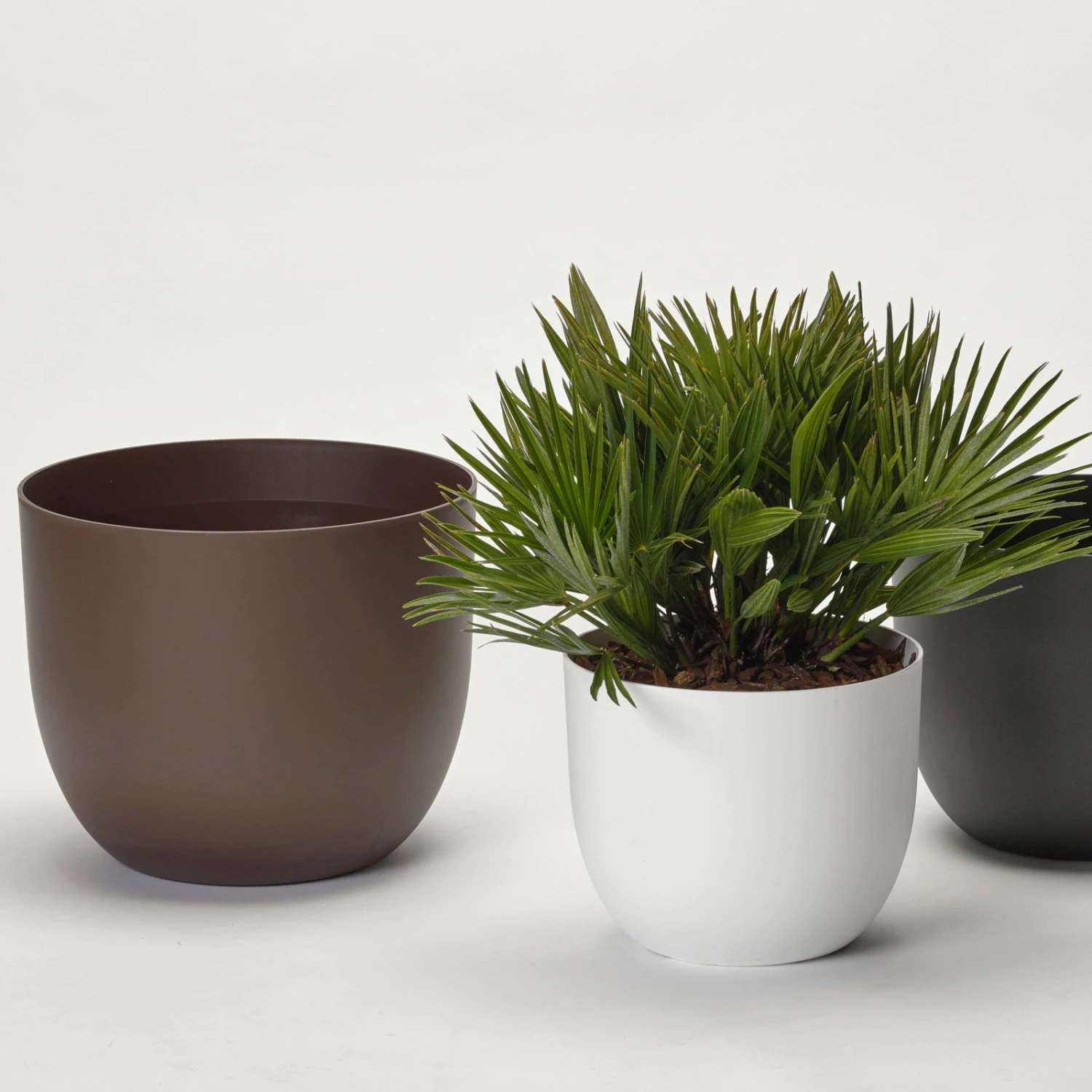 Pflanzkübel 'Rio', weiß, Ø 39 x H 32,5 cm Pflanzkübel 'Rio', Weiß, Ø 39 X H 32,5 Cm -Kölle 3210104130 3210104131 3210104132 pflanzkuebel rio 1 122626 1