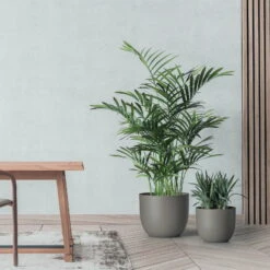 Pflanzkübel 'Rio', Taupe, Ø 29 X H 24 Cm -Kölle 3210104133 pflanzkuebel rio 2 122629 1