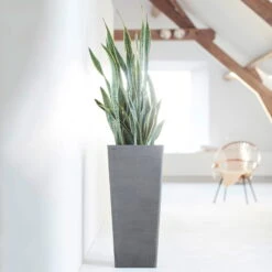 Pflanzgefäß 'Rotterdam MidHigh', Grau -Kölle 3210104153 pflanzgefaess rotterdam high 1 117471