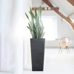 Pflanzgefäß 'Rotterdam MidHigh', Dunkelgrau -Kölle 3210104155 pflanzgefaess rotterdam high 3 117475