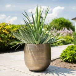 Pflanzgefäß 'Rowen', Gold, Ø 42 X H 41 Cm -Kölle 3210801622 Pflanzgefaess Rowen gold D 42 x H 41 cm 1 114988