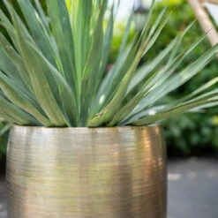 Pflanzgefäß 'Rowen', Gold, Ø 42 X H 41 Cm -Kölle 3210801622 Pflanzgefaess Rowen gold D 42 x H 41 cm 2 114989