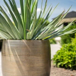 Pflanzgefäß 'Rowen', Gold, Ø 42 X H 41 Cm -Kölle 3210801622 Pflanzgefaess Rowen gold D 42 x H 41 cm 4 114991