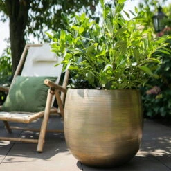 Pflanzgefäß 'Rowen', Gold, Ø 50 X H 47 Cm -Kölle 3210801623 Pflanzgefaess Rowen gold D 50 x H 47 cm 4 114996