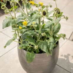 Pflanzgefäß 'Rowen', Silber, Ø 38 X H 30 Cm -Kölle 3210801625 3210801626 3210801627 3210801628 Pflanzgefaess Rowen silber 6 115002