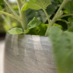 Pflanzgefäß 'Rowen', Silber, Ø 31 X H 28 Cm -Kölle 3210801625 3210801626 3210801627 3210801628 Pflanzgefaess Rowen silber 9 115005 3