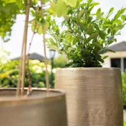 Pflanzgefäß 'Rowen', Gold, Ø 47 X H 82 Cm -Kölle 3210801630 3210801631 3210801632 3210801633 Pflanzgefaess Rowen gold 2 115015