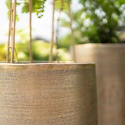 Pflanzgefäß 'Rowen', Gold, Ø 47 X H 82 Cm -Kölle 3210801630 3210801631 3210801632 3210801633 Pflanzgefaess Rowen gold 3 115016