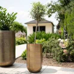 Pflanzgefäß 'Rowen', Gold, Ø 31 X H 55 Cm -Kölle 3210801630 3210801631 3210801632 3210801633 Pflanzgefaess Rowen gold 4 115017 3