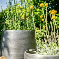 Pflanzgefäß 'Rowen', Silber, Ø 31 X H 55 Cm -Kölle 3210801635 3210801636 3210801637 3210801638 Pflanzgefaess Rowen silber 12 115029 2