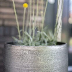 Pflanzgefäß 'Rowen', Silber, Ø 47 X H 82 Cm 8 Pflanzgefäß 'Rowen', Silber, Ø 47 X H 82 Cm -Kölle 3210801635 3210801636 3210801637 3210801638 Pflanzgefaess Rowen silber 7 115026 1