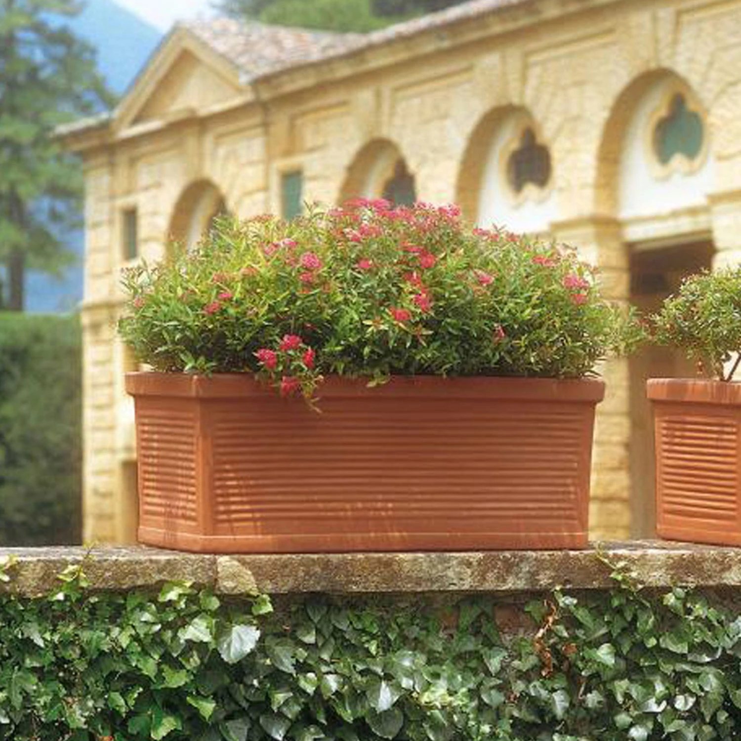 Euro 3 Plast Pflanzkasten "Millerighe" terra, 60 cm, Erdvol. 29 l Euro 3 Plast Pflanzkasten "Millerighe" Terra, 60 Cm, Erdvol. 29 L -Kölle 3230100268 Pflanzkasten Millerighe tds 60cm Erdvol 29Ltr 34237