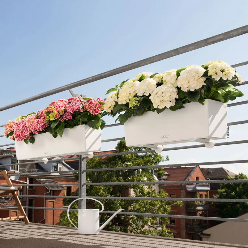 Lechuza Balconera Color All-in-One-Set, weiß Lechuza Balconera Color All-in-One-Set, Weiß -Kölle