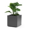 Pflanzkasten 'Kebe', Anthrazit, 35 Liter, 39,5 X 39,5 X 39,5 Cm -Kölle 3230101148 Pflanztrog Kebe mit Wasser Reservoir Rollen anthrazit 109323