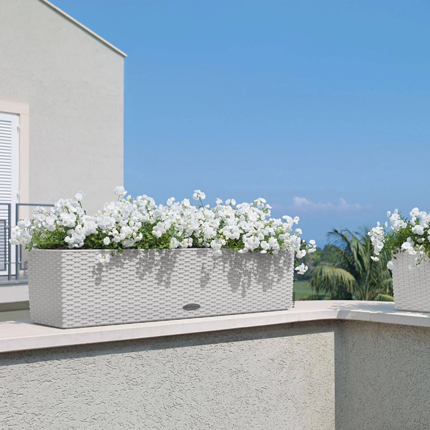 Lechuza 'Balconera Cottage 80', schwarz, 79 x 19 x 19 cm Lechuza 'Balconera Cottage 80', Schwarz, 79 X 19 X 19 Cm -Kölle 3230101165 Balconera Cottage 80 3 103364