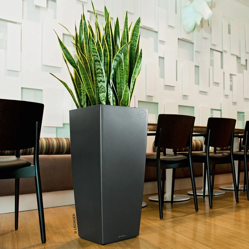 Cubico Premium 30, anthrazit-metallic, All-in-One-Set, 30x30, H:56 cm LECHUZA Cubico Premium 30, Anthrazit-metallic, All-in-One-Set, 30x30, H:56 Cm -Kölle 3325100079 Cubico Premium 30 anthrazit All in